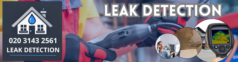 Abridge Leak Detection