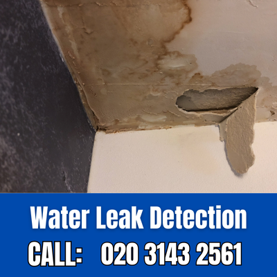 Expert Water Leak Detection Services in Abridge | Abridge Leak Detection